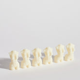 6-Pack Luxury Body Wax Melts